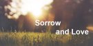 Sorrow and Love Flow Mingled Down, Part 3 | Luke 13:31-35 Image